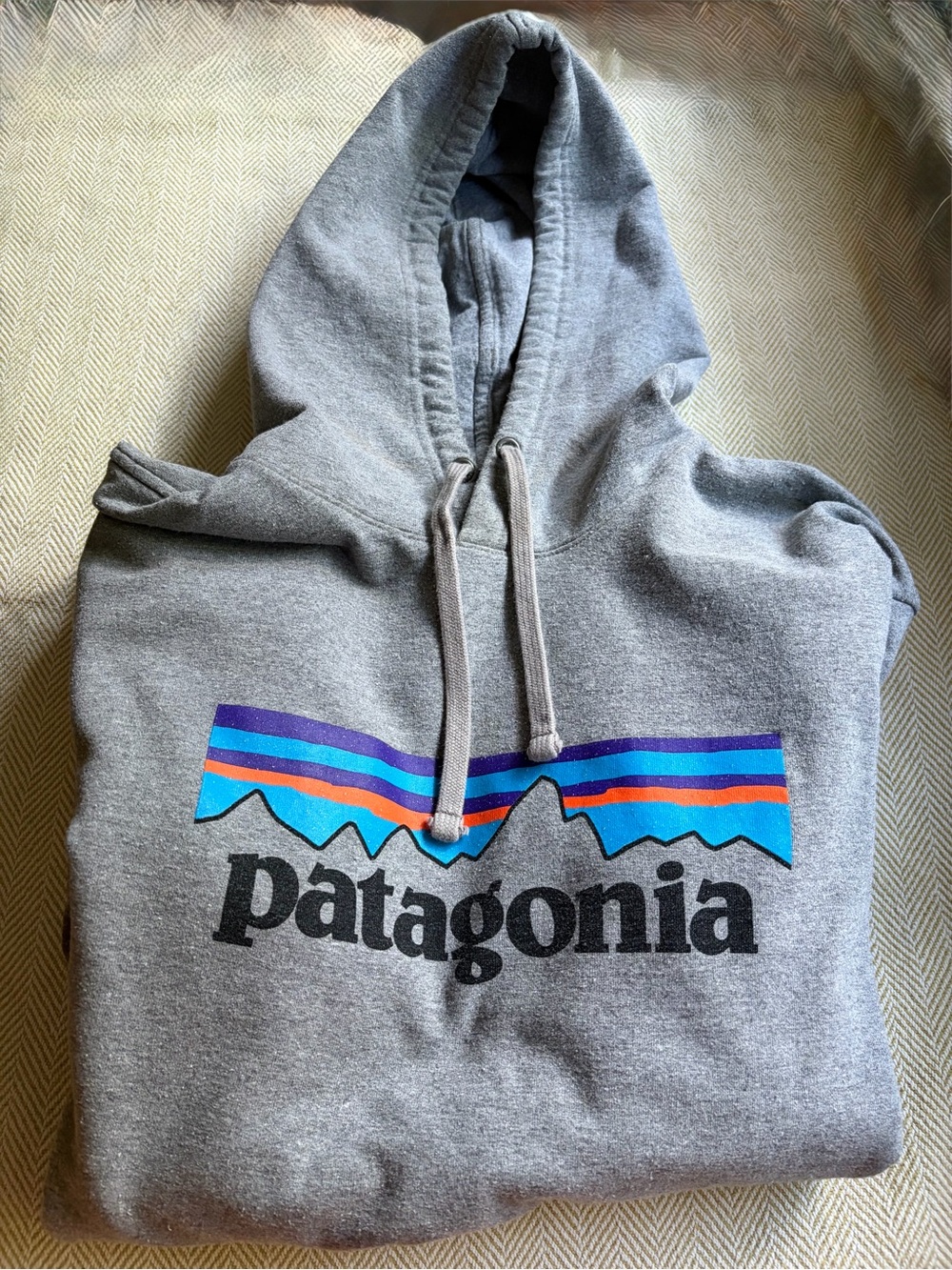 Patagonia Hoodie